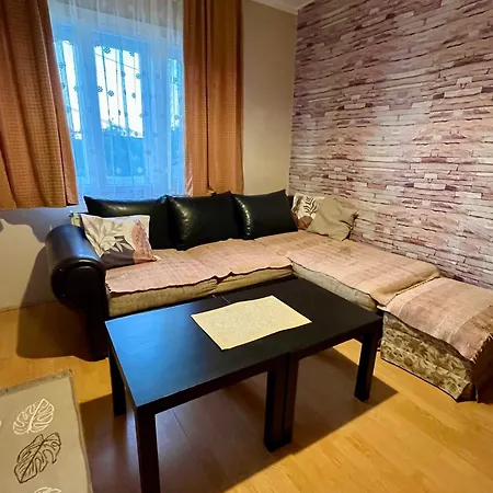 Apartman Jovicic Banja Vrujci
