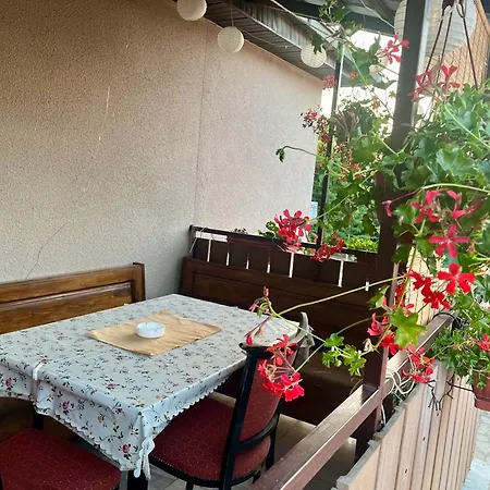 Apartman Jovicic Banja Vrujci Gornja Toplica