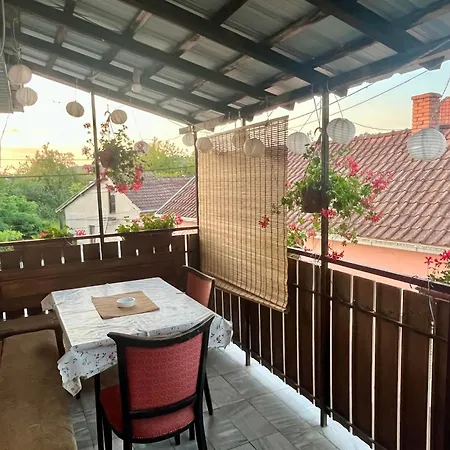 Jovicic Banja Vrujci Apartman