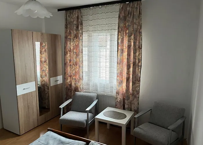 Jovicic Banja Vrujci Apartman *